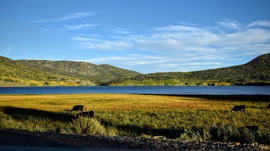 Fishlake National Forest